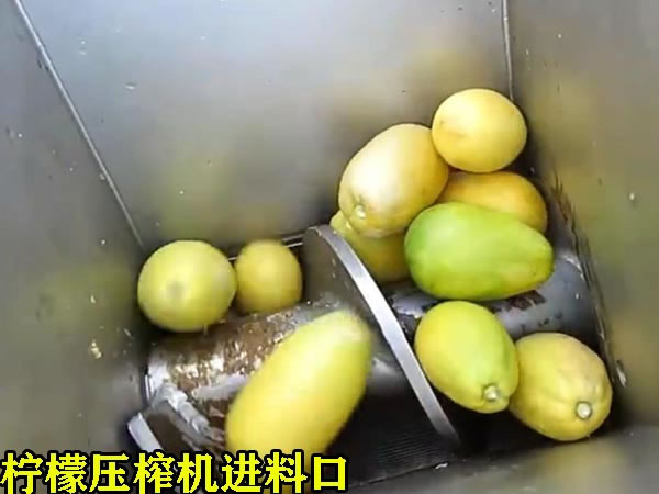 果汁生产设备